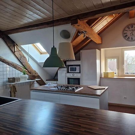 Apartmán Le Grenier Dannemarie  Exteriér fotografie