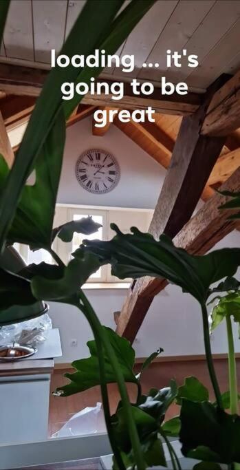 Apartmán Le Grenier Dannemarie  Exteriér fotografie